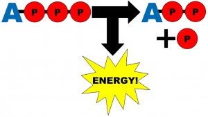 atpenergy